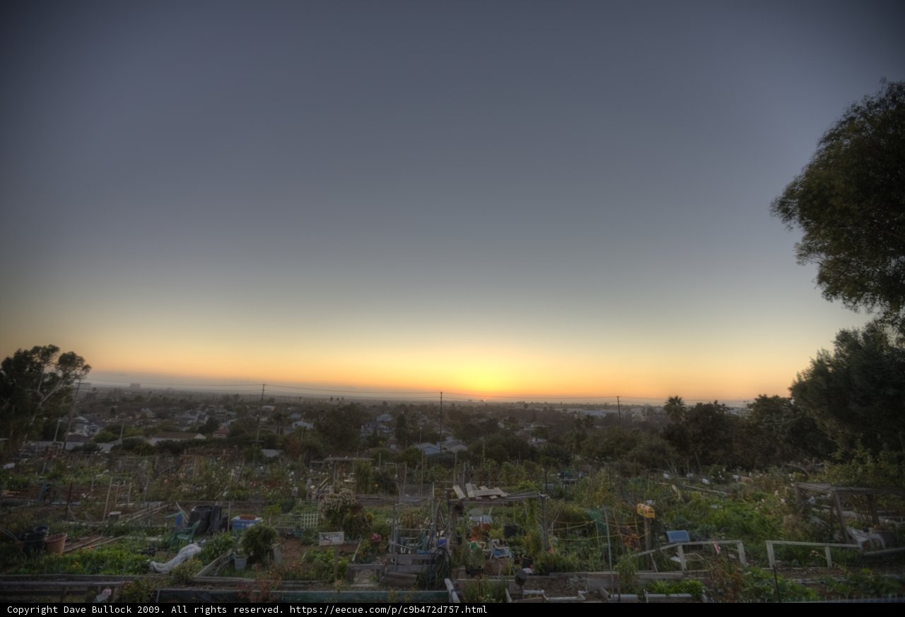 Rooftop Garden Sunset