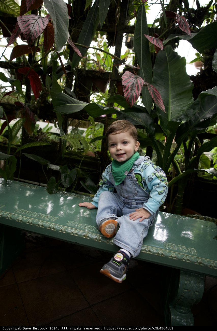 Greenhouse Serenity: A Young Botanist in the Making
