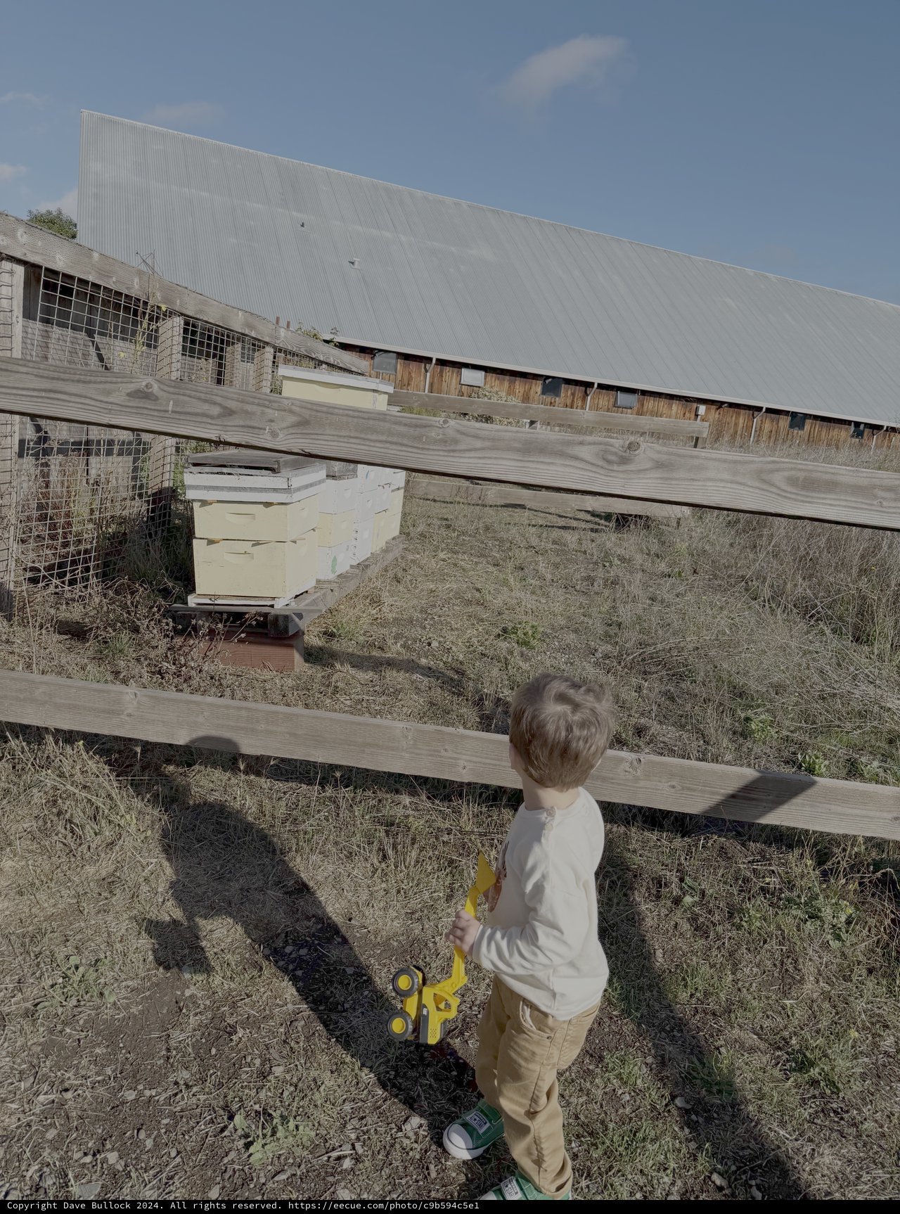 Young Child Exploring Farm with Yellow Toy