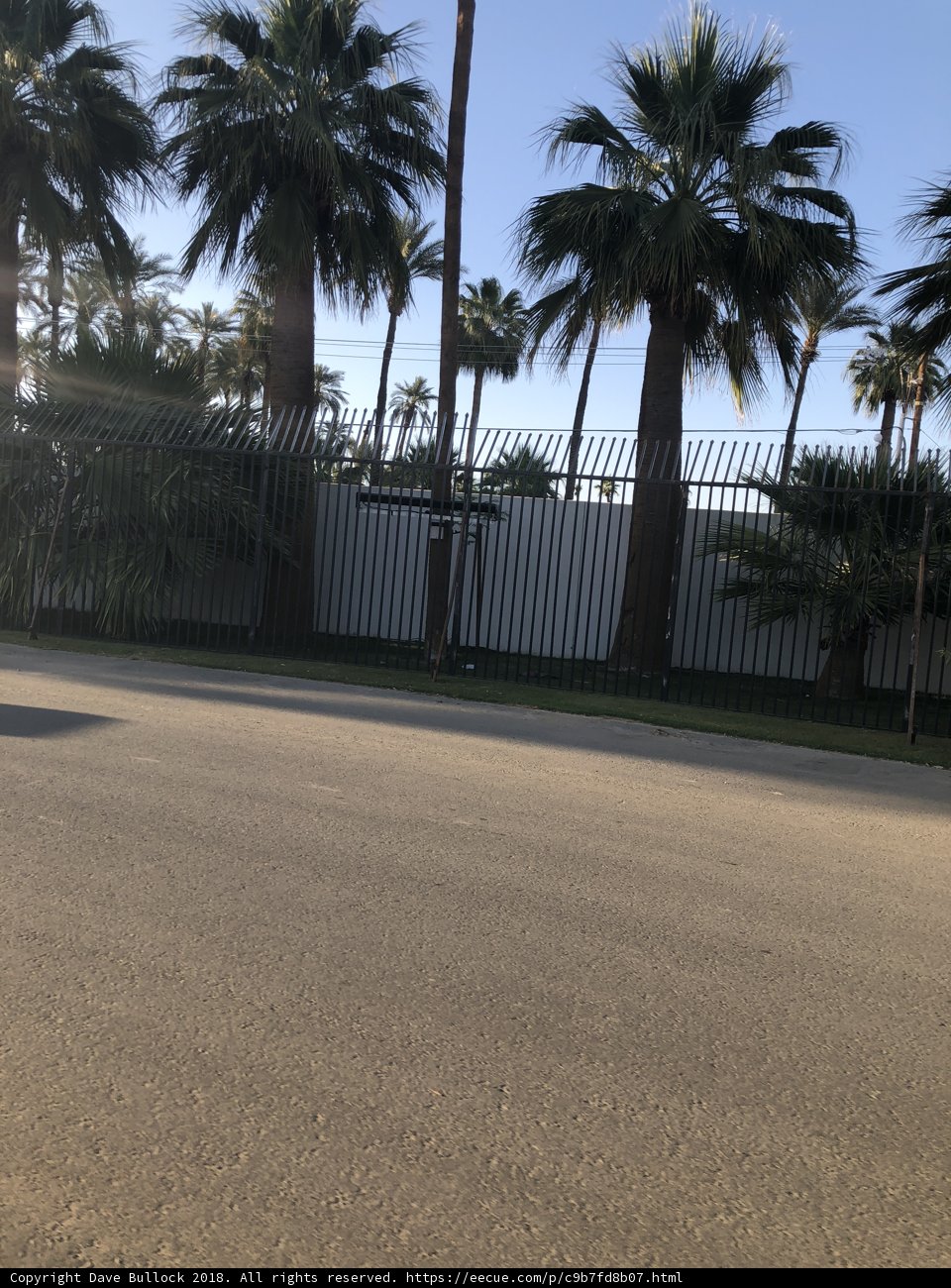 Tropical Paradise on Tarmac