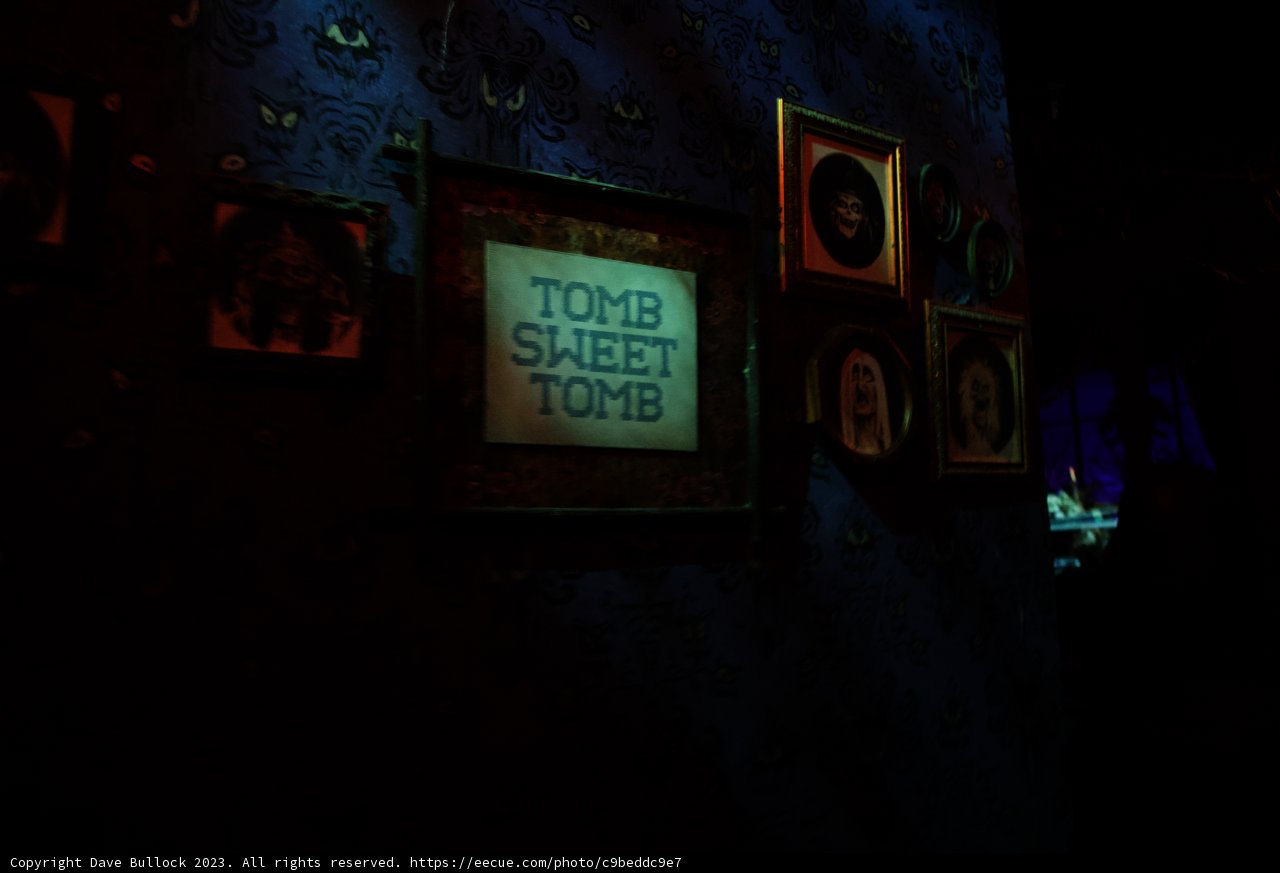 Mysterious Tomb of the Dead at Disneyland