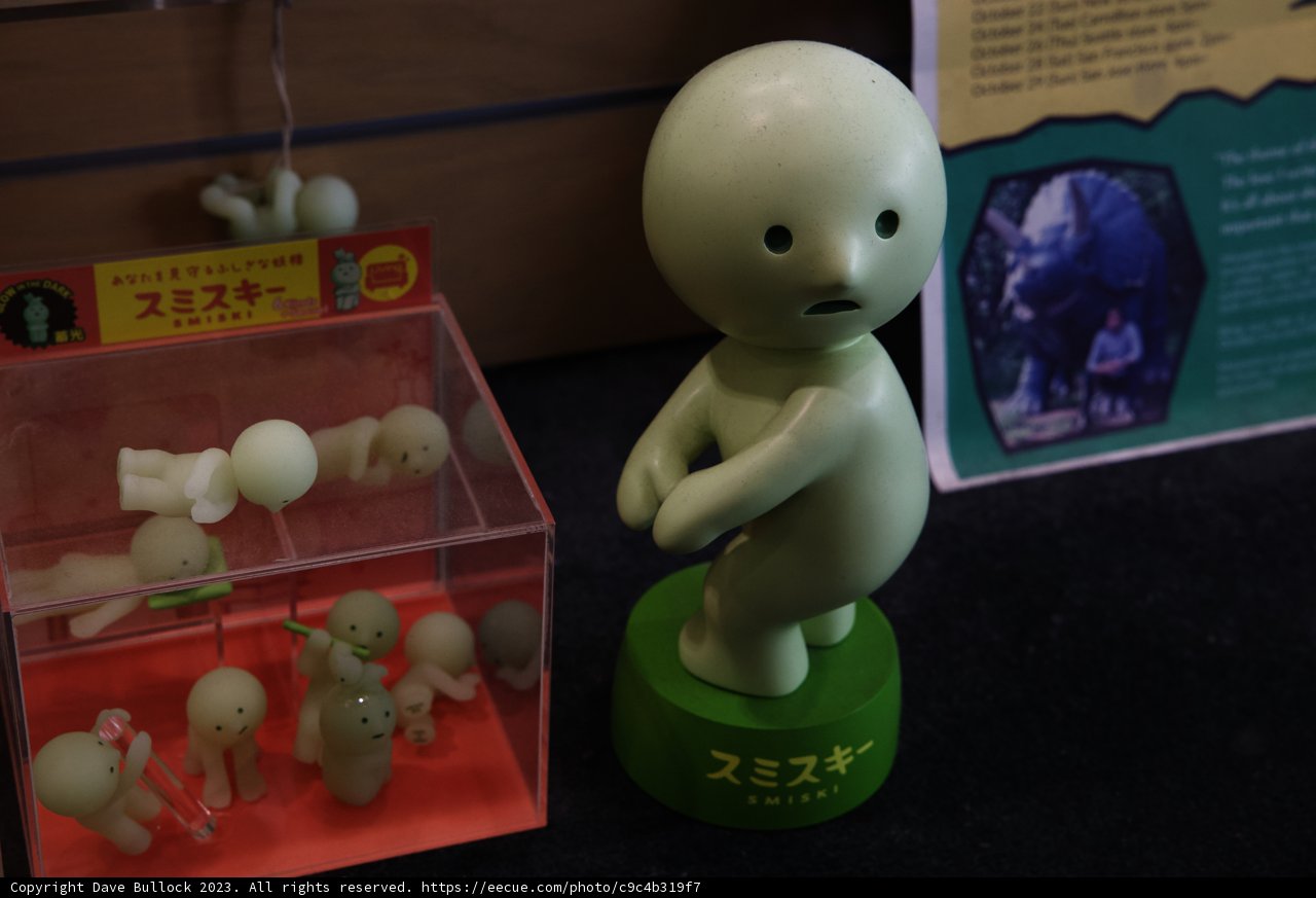 The Guardian of the Display Case