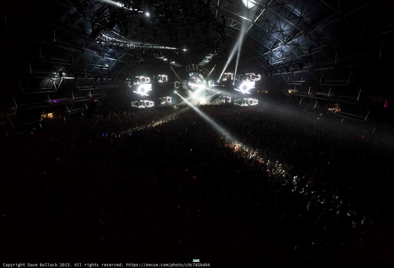 Electrifying Crowd at Coachella