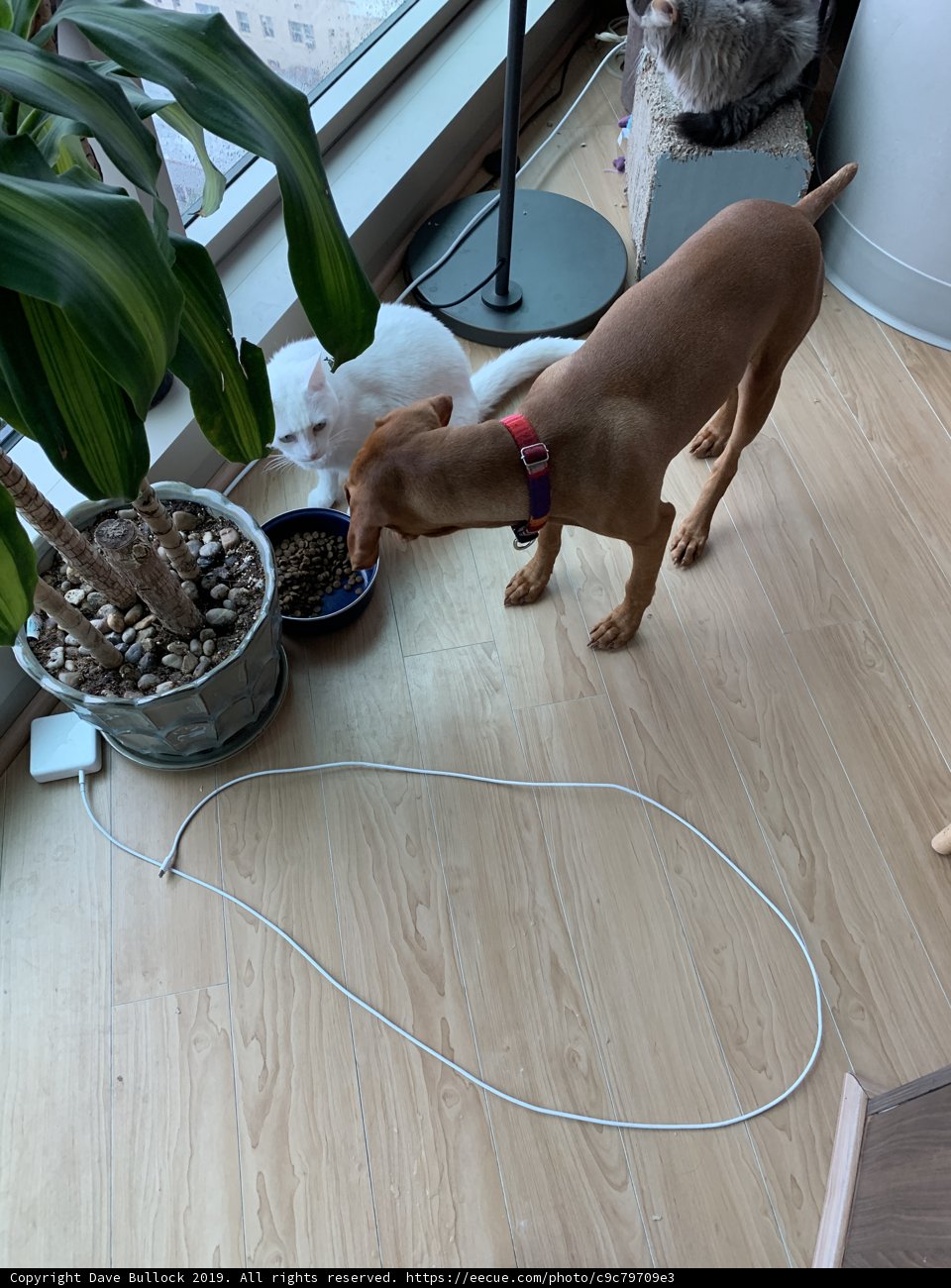 Floor Feast