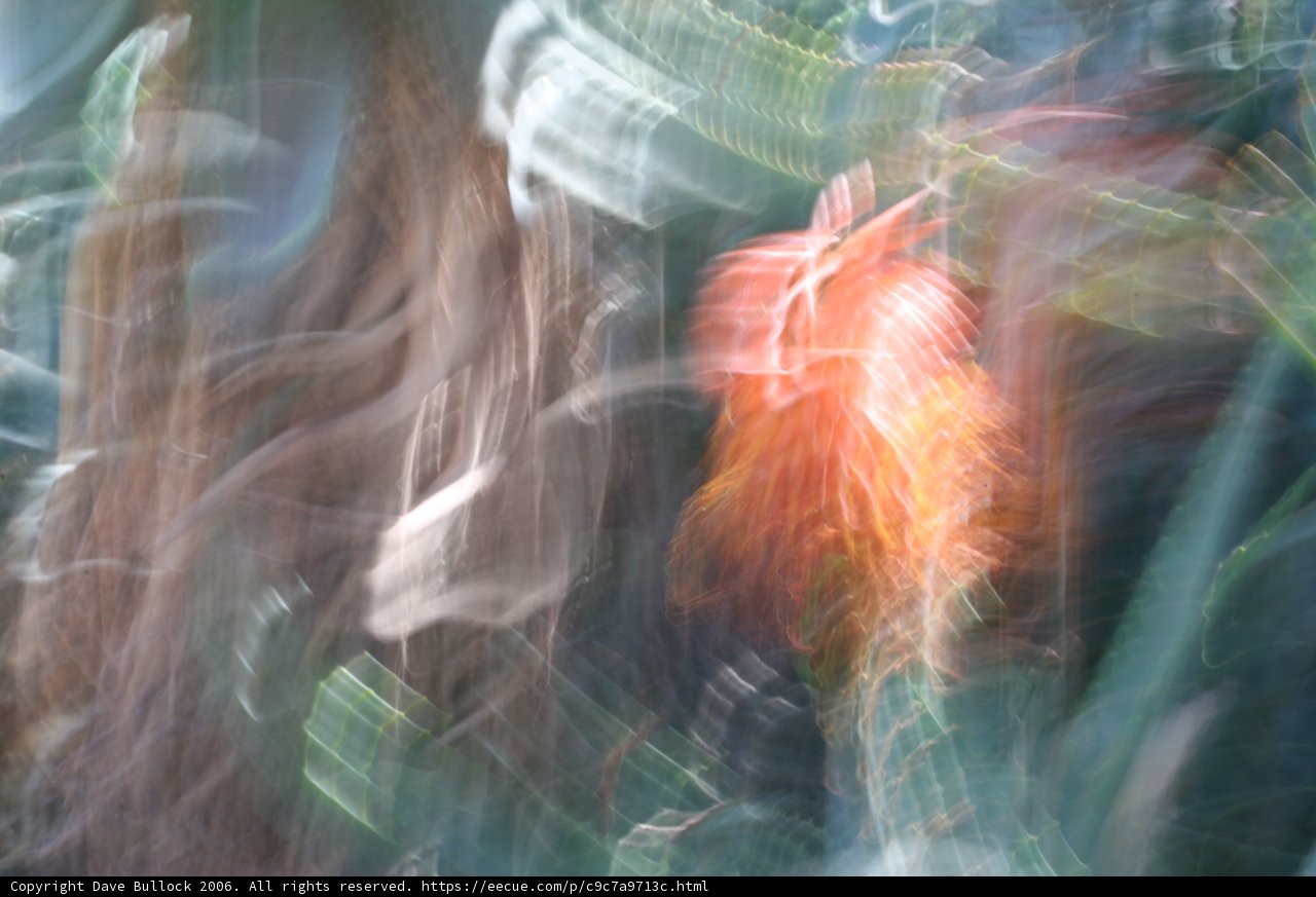 Blurred Beauty