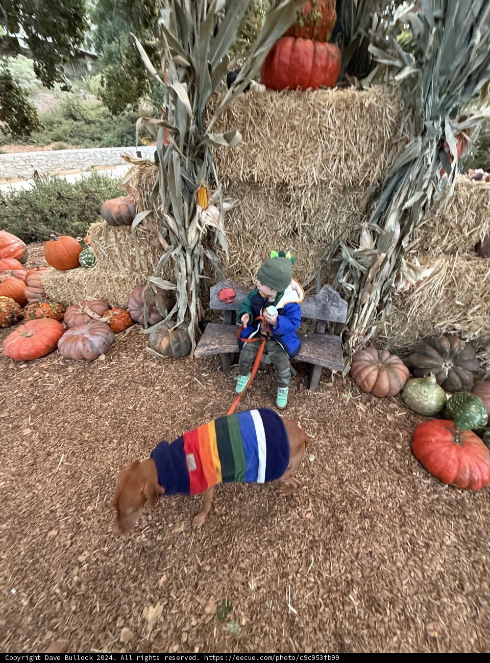 Autumn Adventures in Carmel