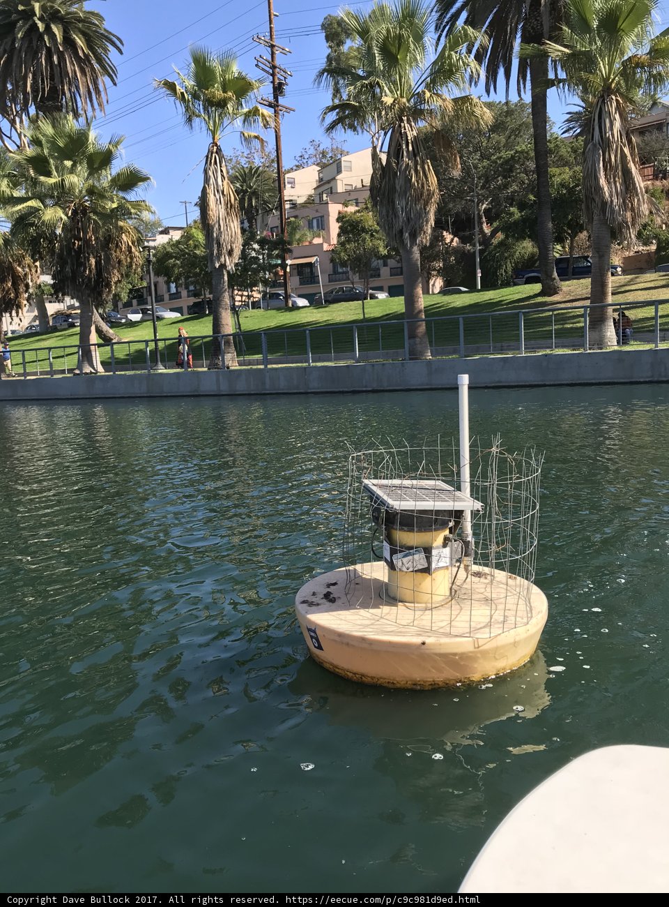 Serene Summer Boating