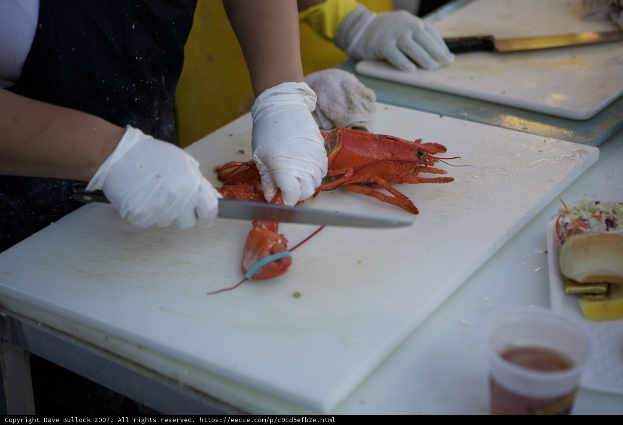 Lobster Cutting