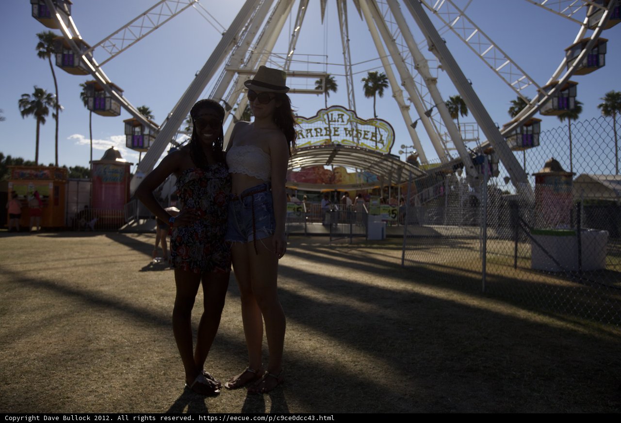 Ferris Wheel Fun with Friends