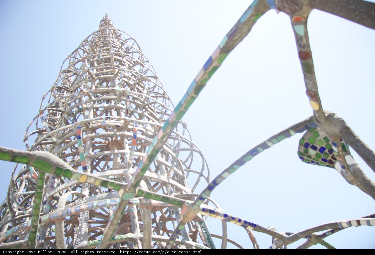 Towering Fun at the Amusement Park