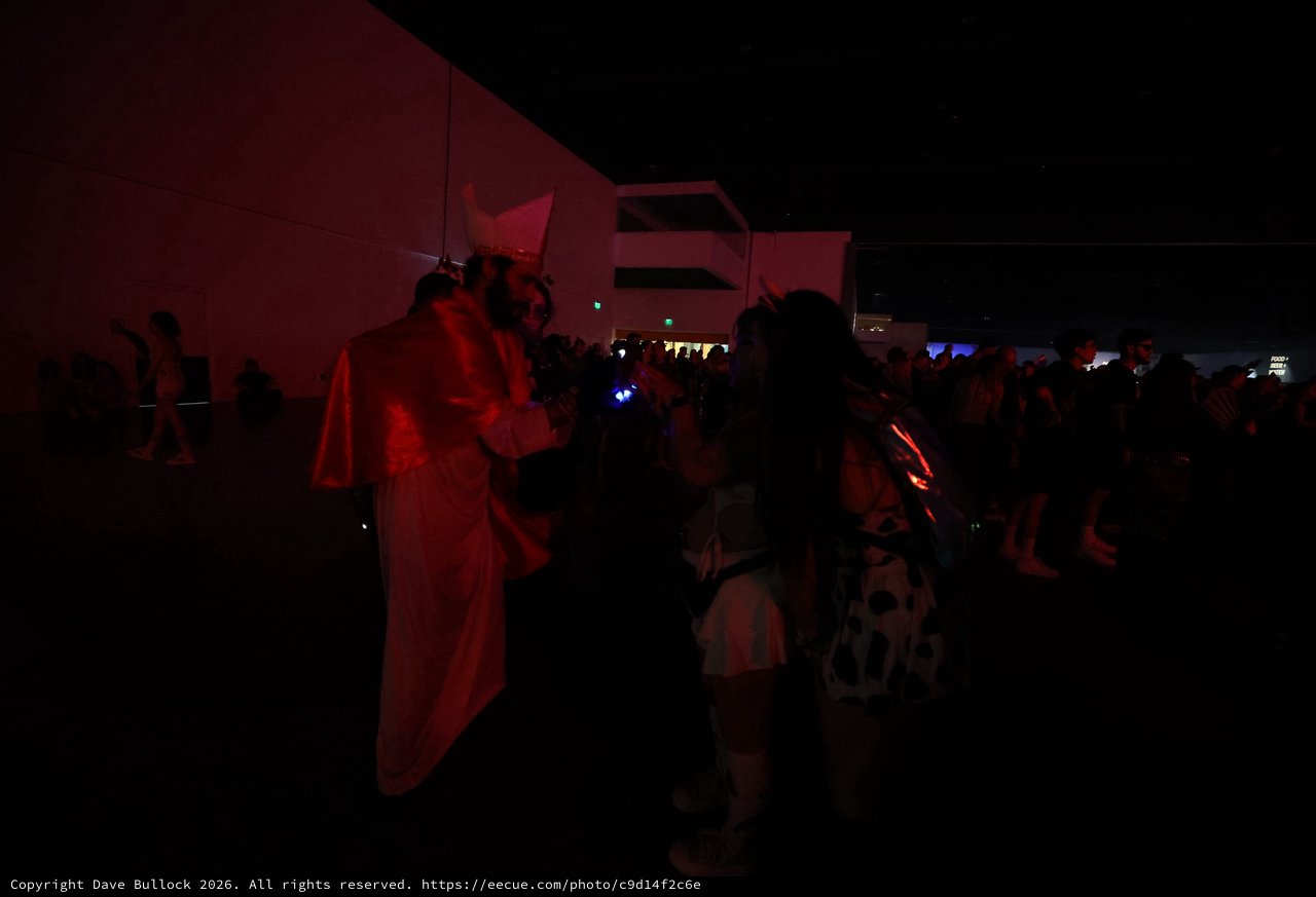 Costumed Revelers Dance at Wobbleland Festival Night