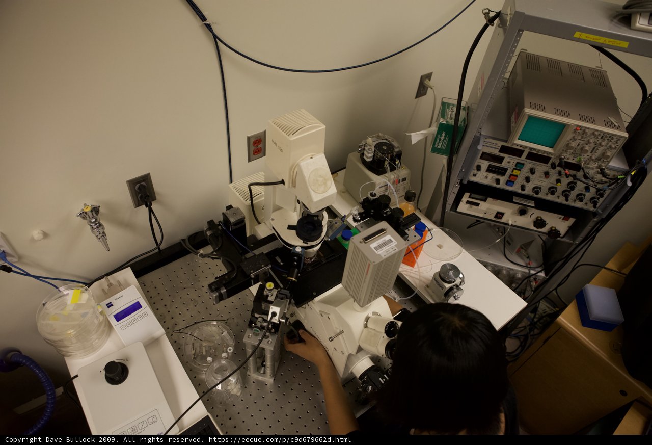 Microscopic Research at UCLA