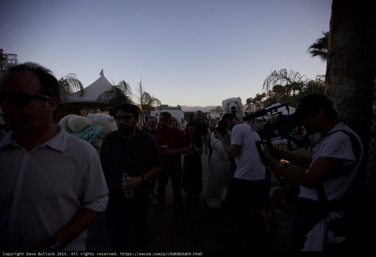 Coachella Crowd in Motion