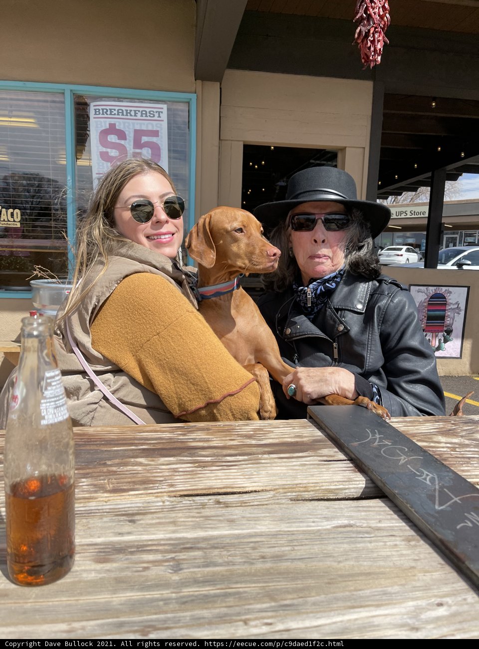 Paws and Pints
