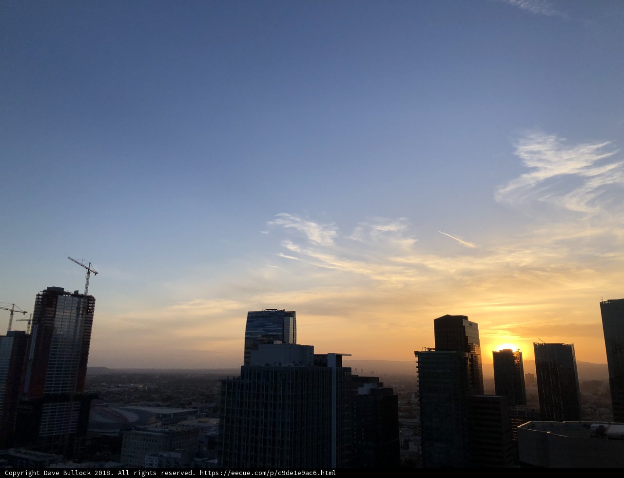 Golden Hour in the Urban Jungle