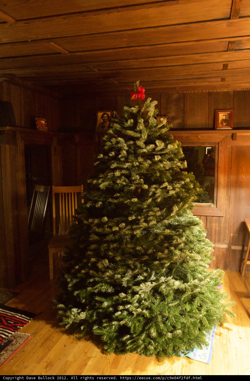 Festive Fir and Fireplace