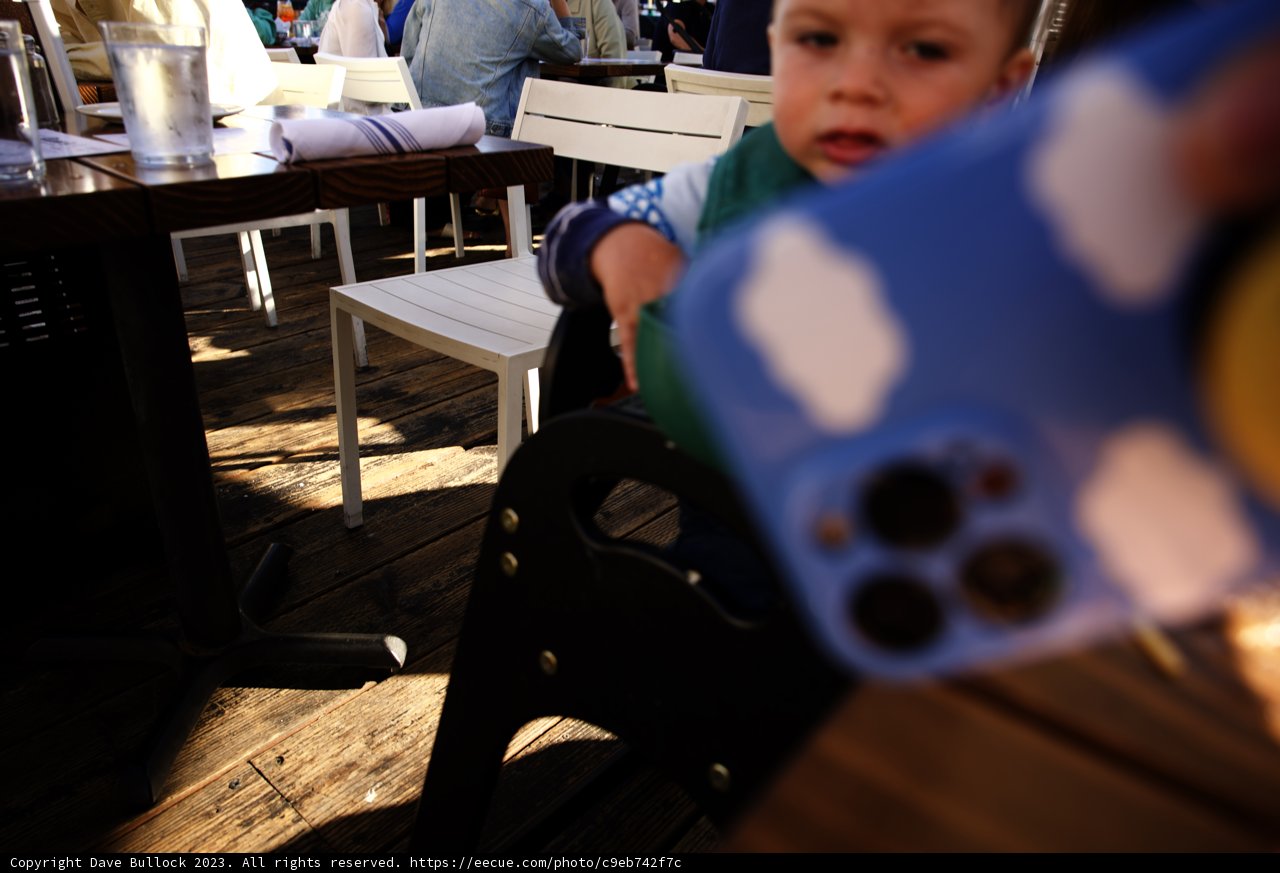 Little Explorer's First Dining Adventure