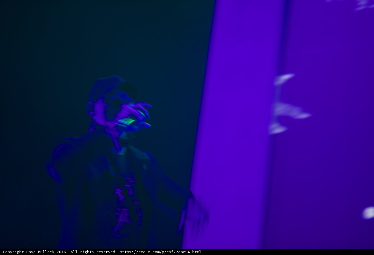 Solo Performance in Purple
