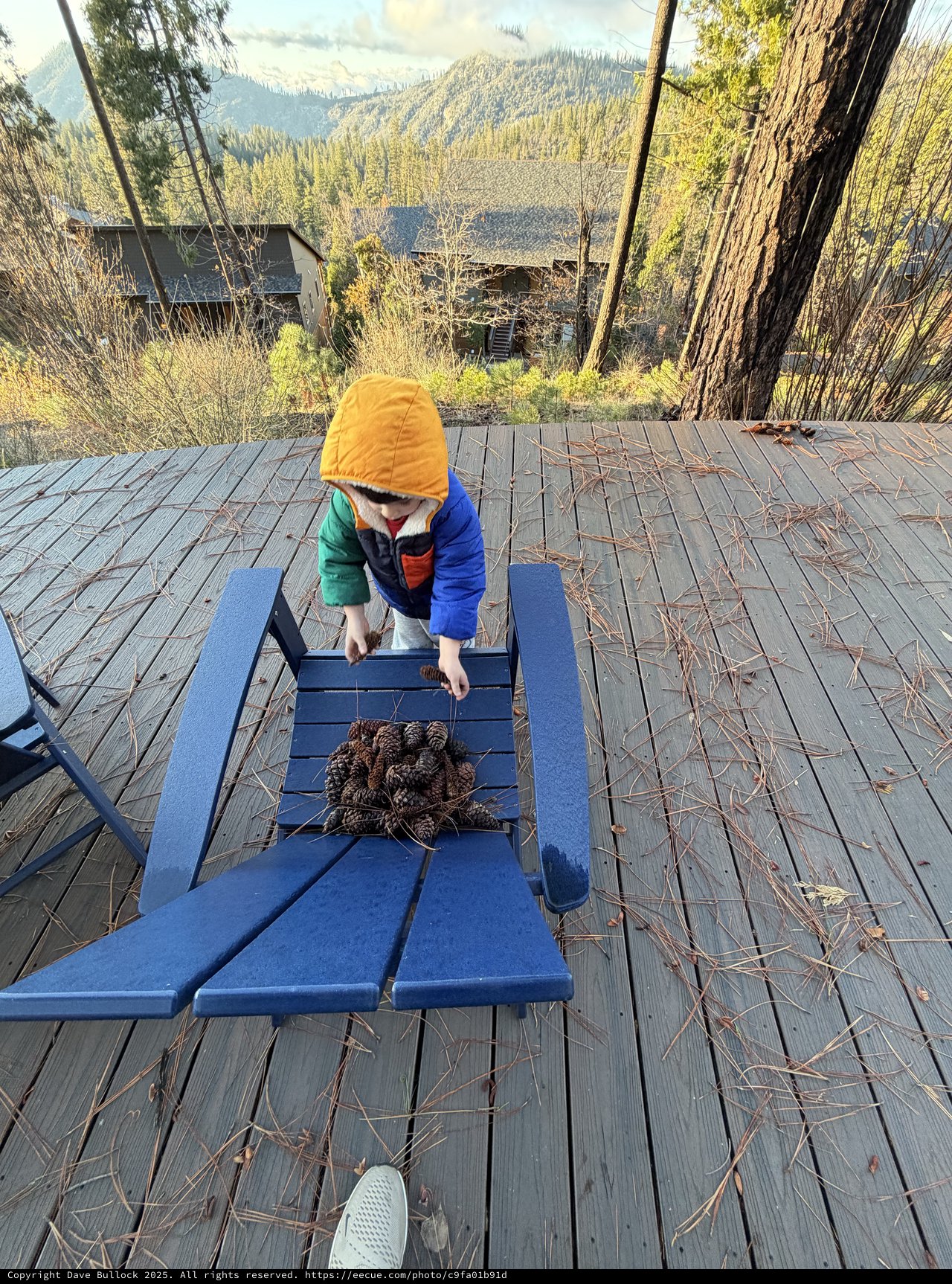 Little Explorer's Pine Cone Collection on Mountain Deck