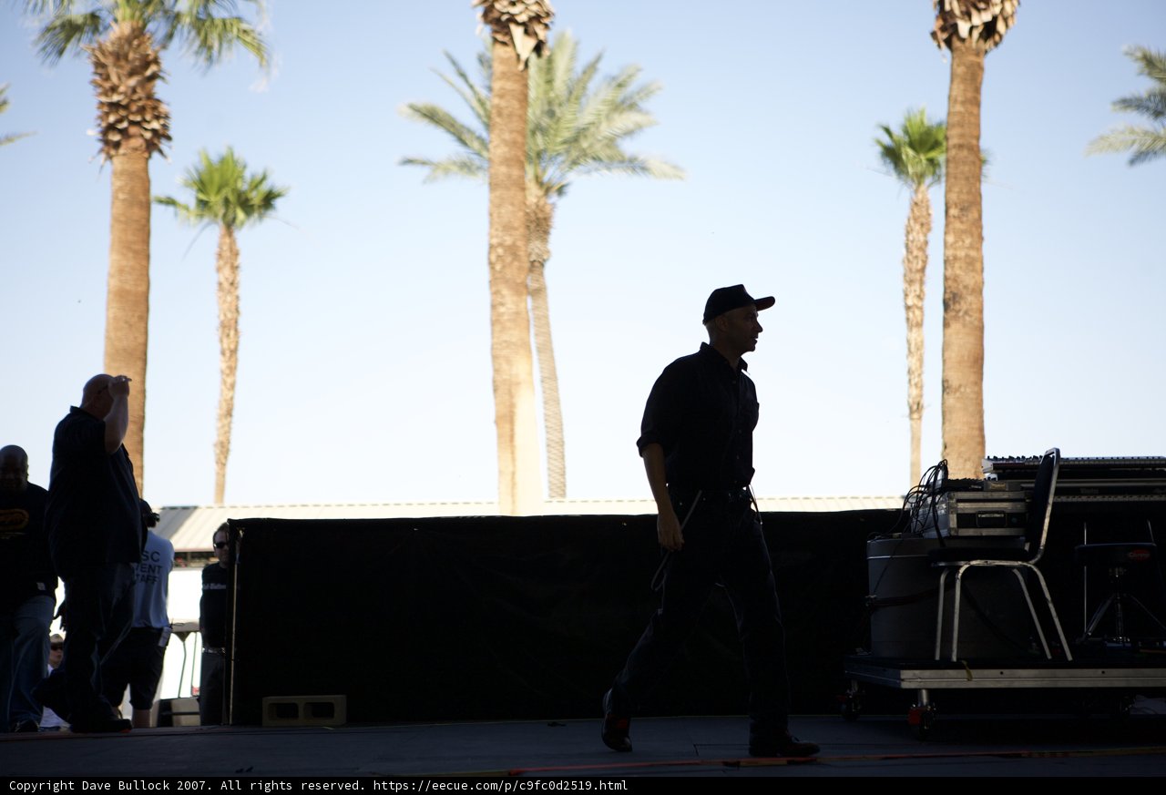 Walking among the Palm Trees