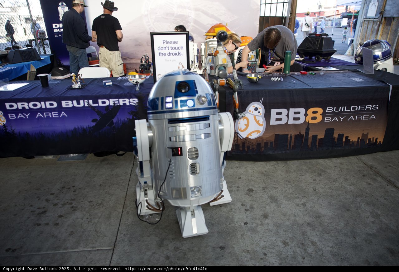 Droid Dreams Come Alive