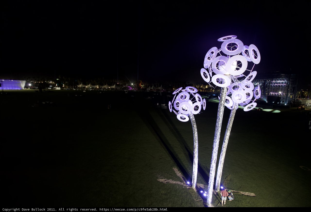 Illuminated Garden
