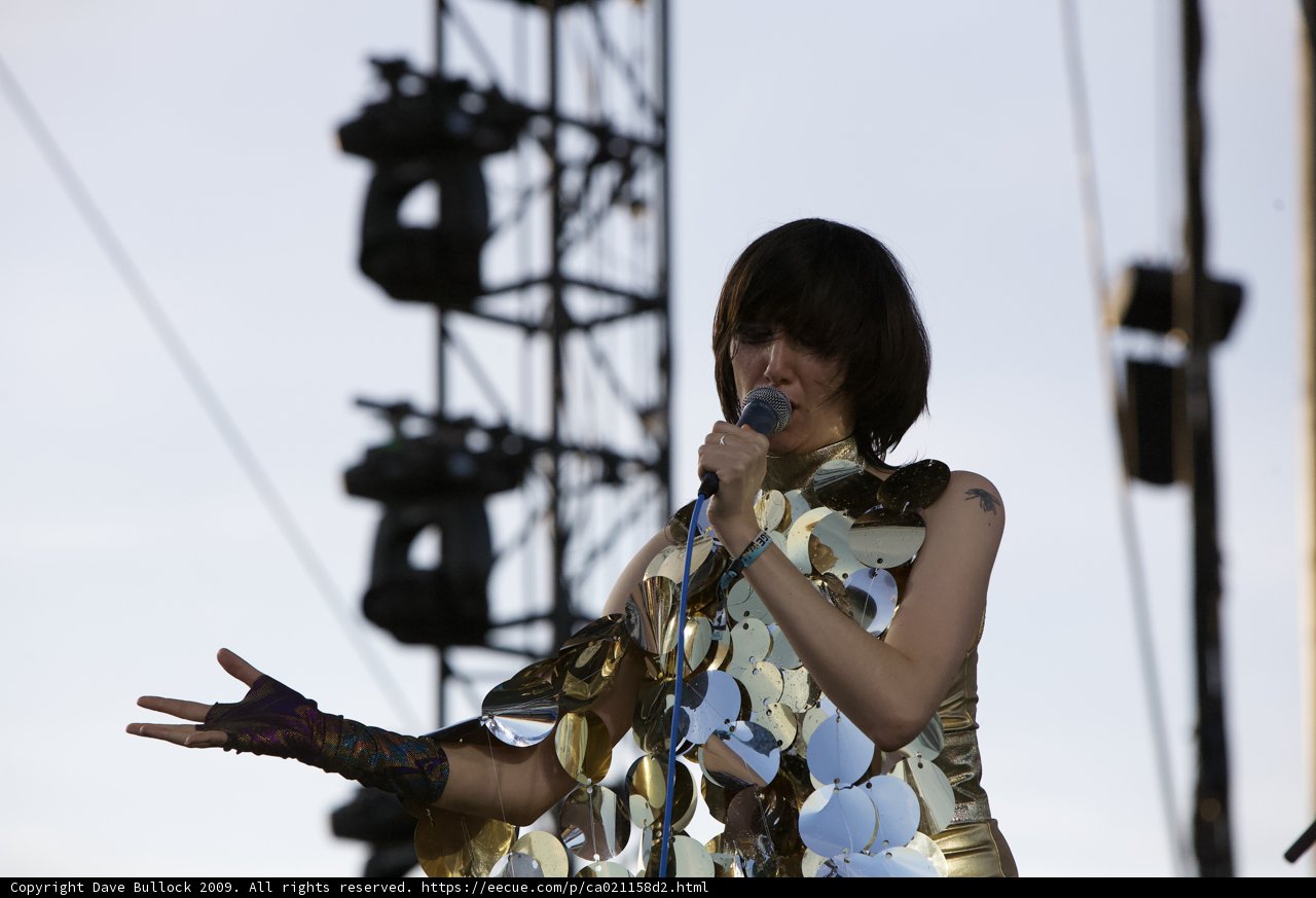 The Golden Voice of Coachella