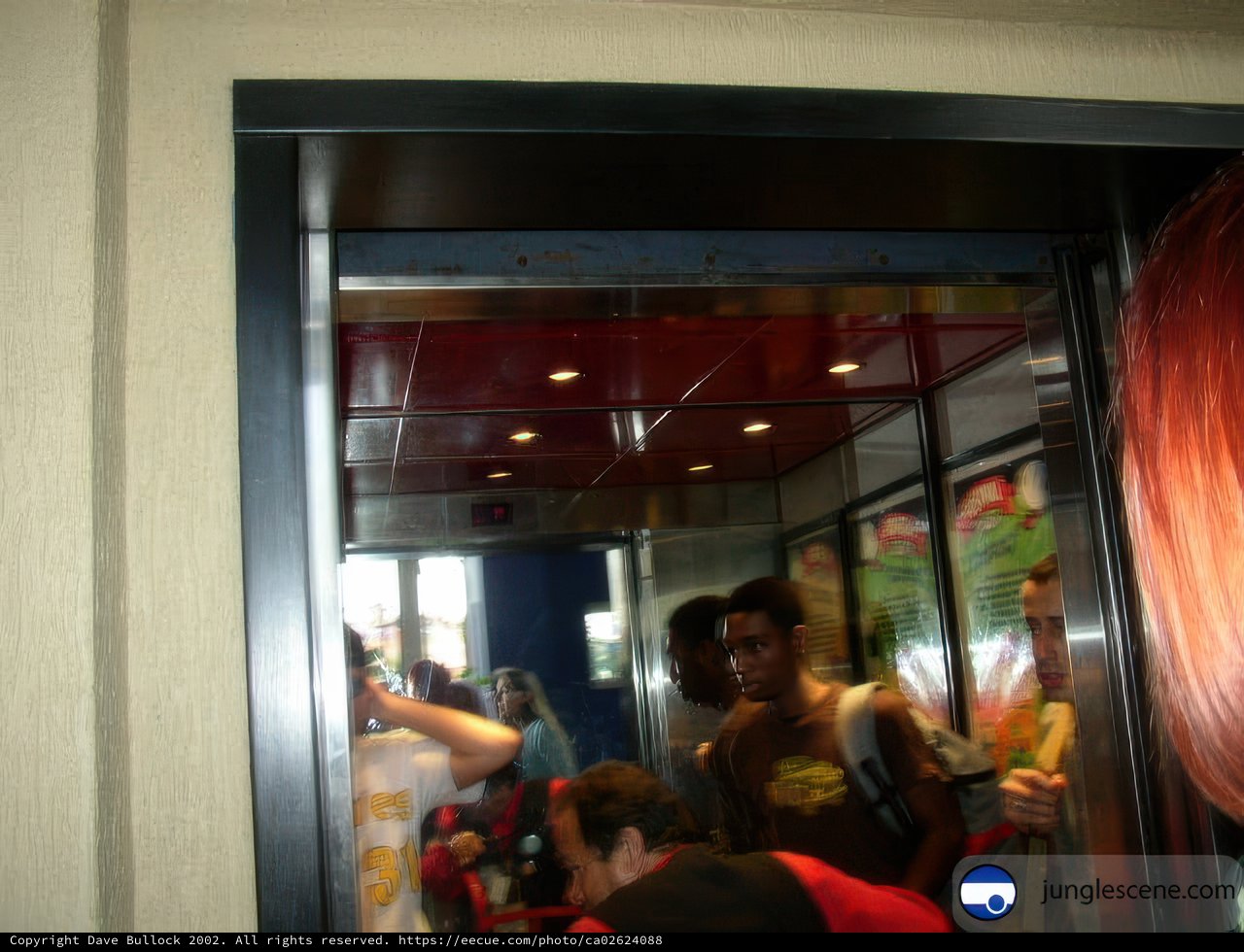 The Red-haired Bride at the Sliding Door
