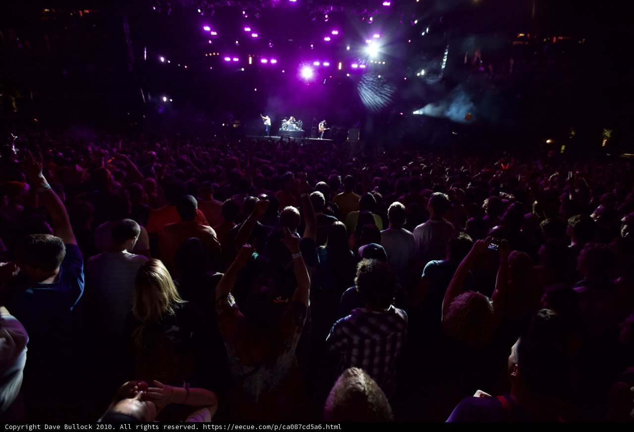 Purple Haze at Coachella 2010