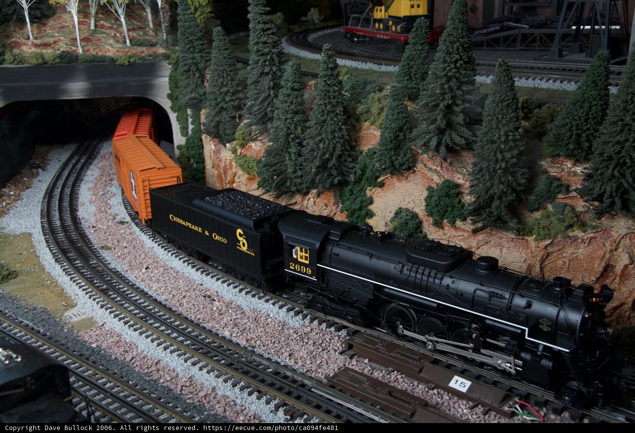 Rolling through the Fir Forest