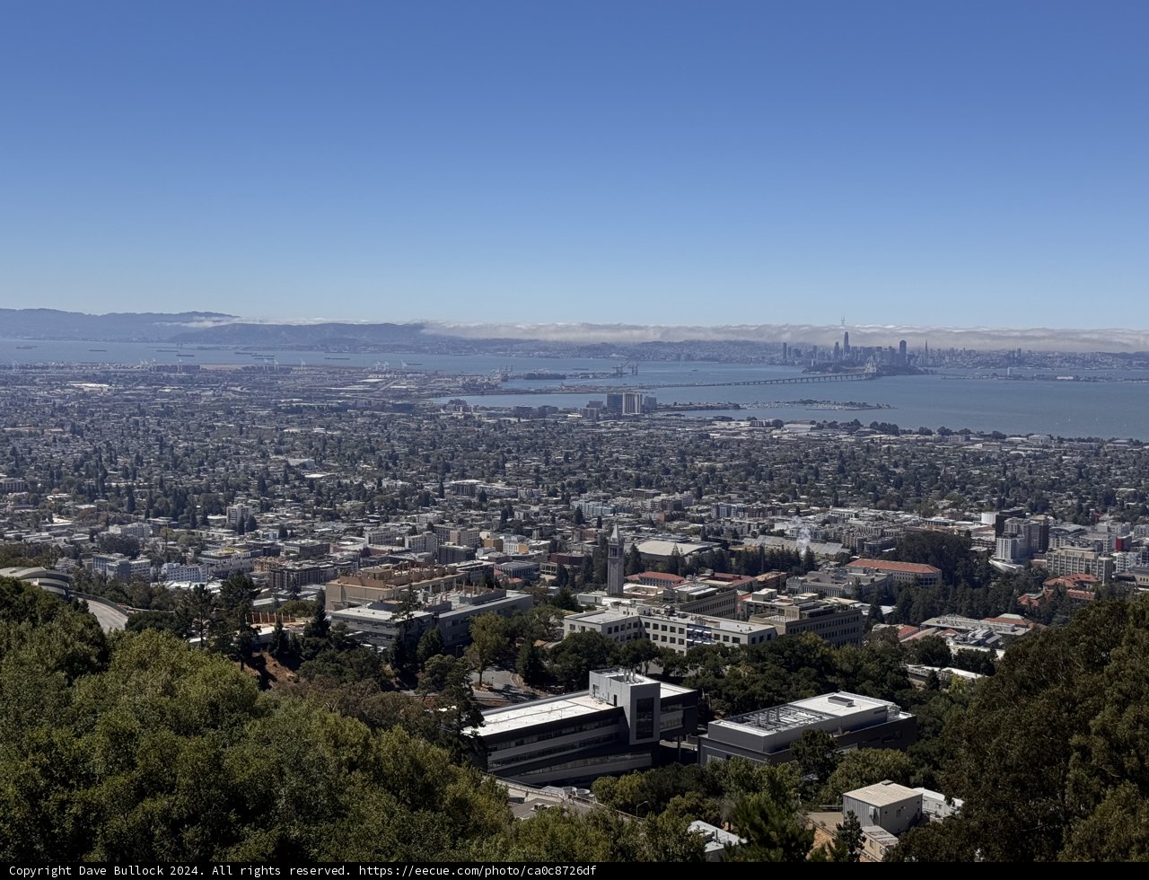 Overlooking the Bay