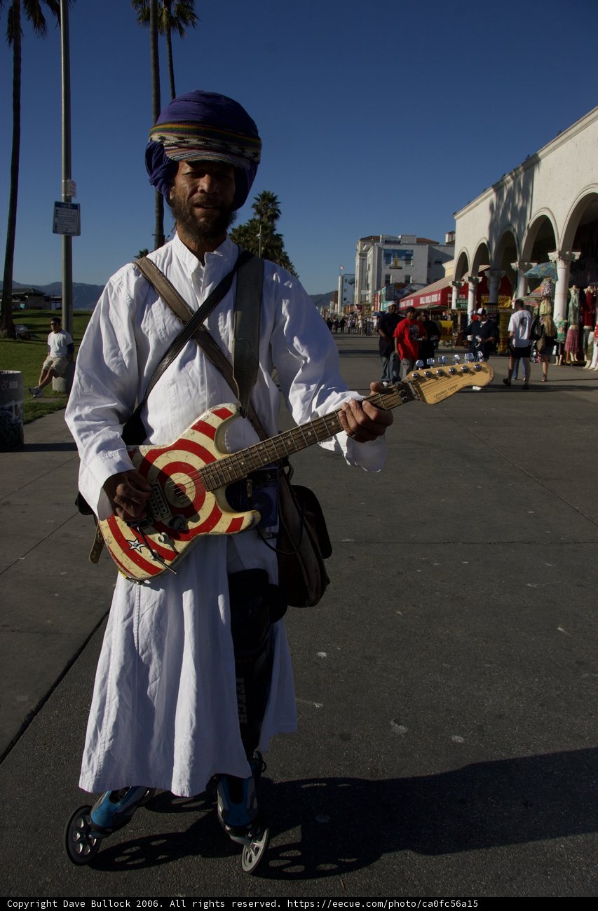 Turbaned musician strums the guitar under a Palm tree