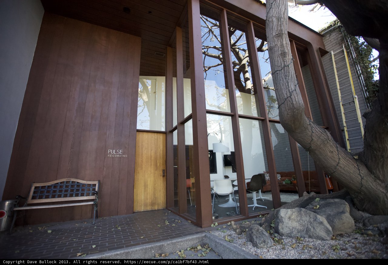 Majestic Tree in Interior Courtyard