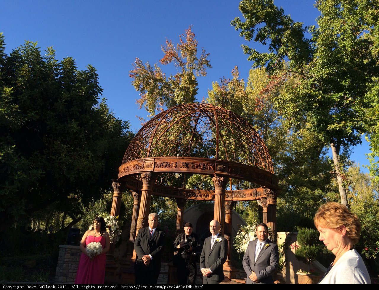 Romantic Garden Wedding Under the Arbour