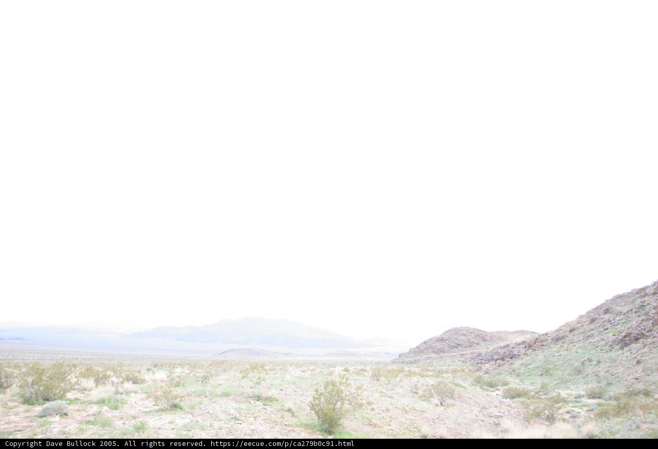 Capturing the Beauty of the Desert