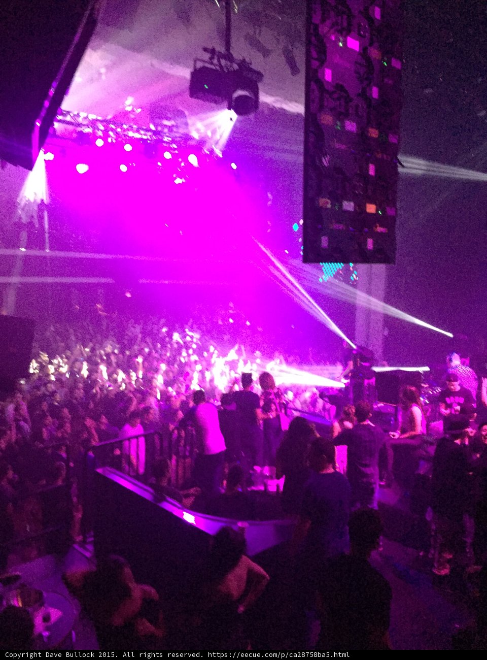 Purple Haze Nightclub Extravaganza