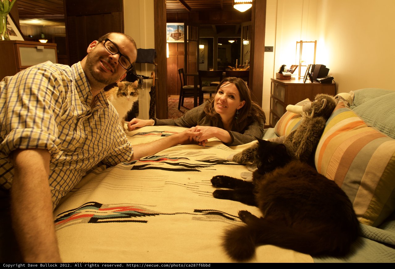 Couple Relaxing with Cats on Cozy Bed