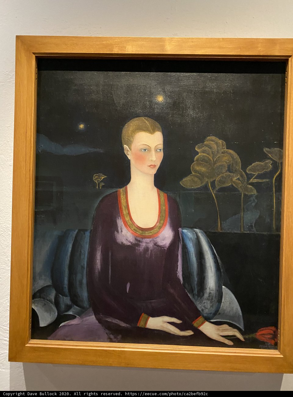 Portrait of a Woman in a Frame