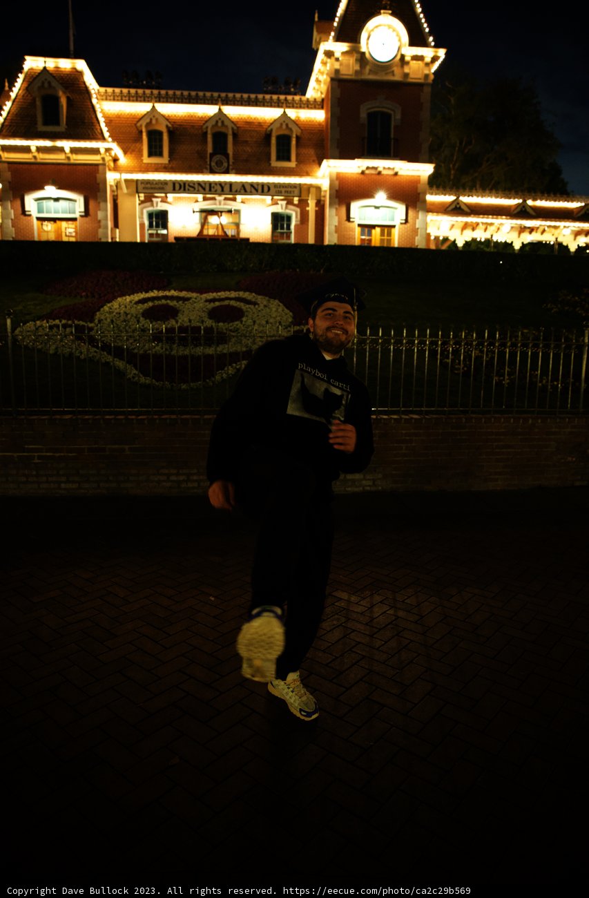 Starry Night Stroll at Disneyland