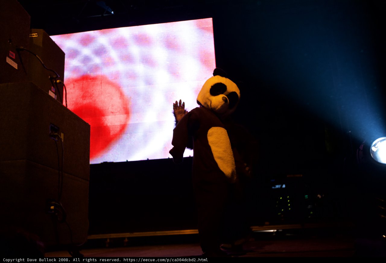 Lovestruck Panda