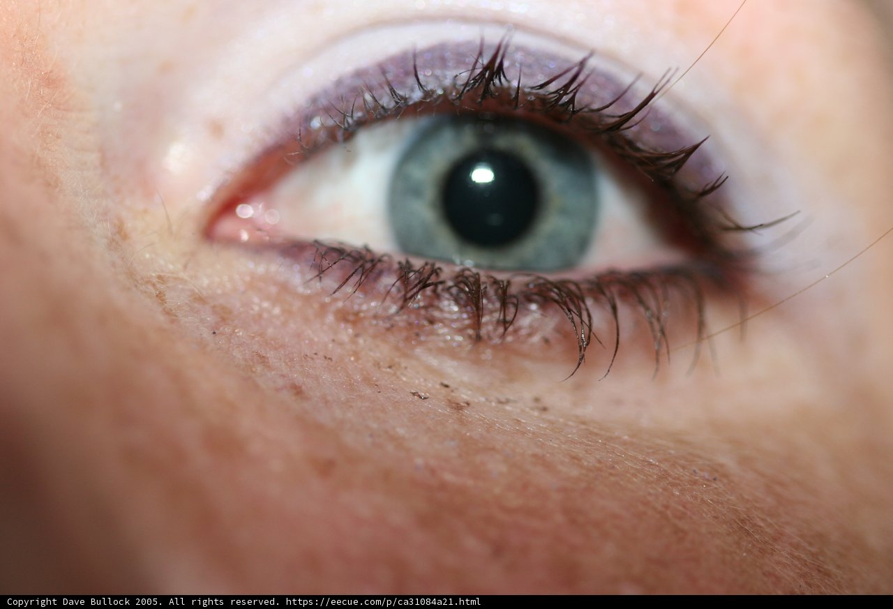 Blue Windows to the Soul