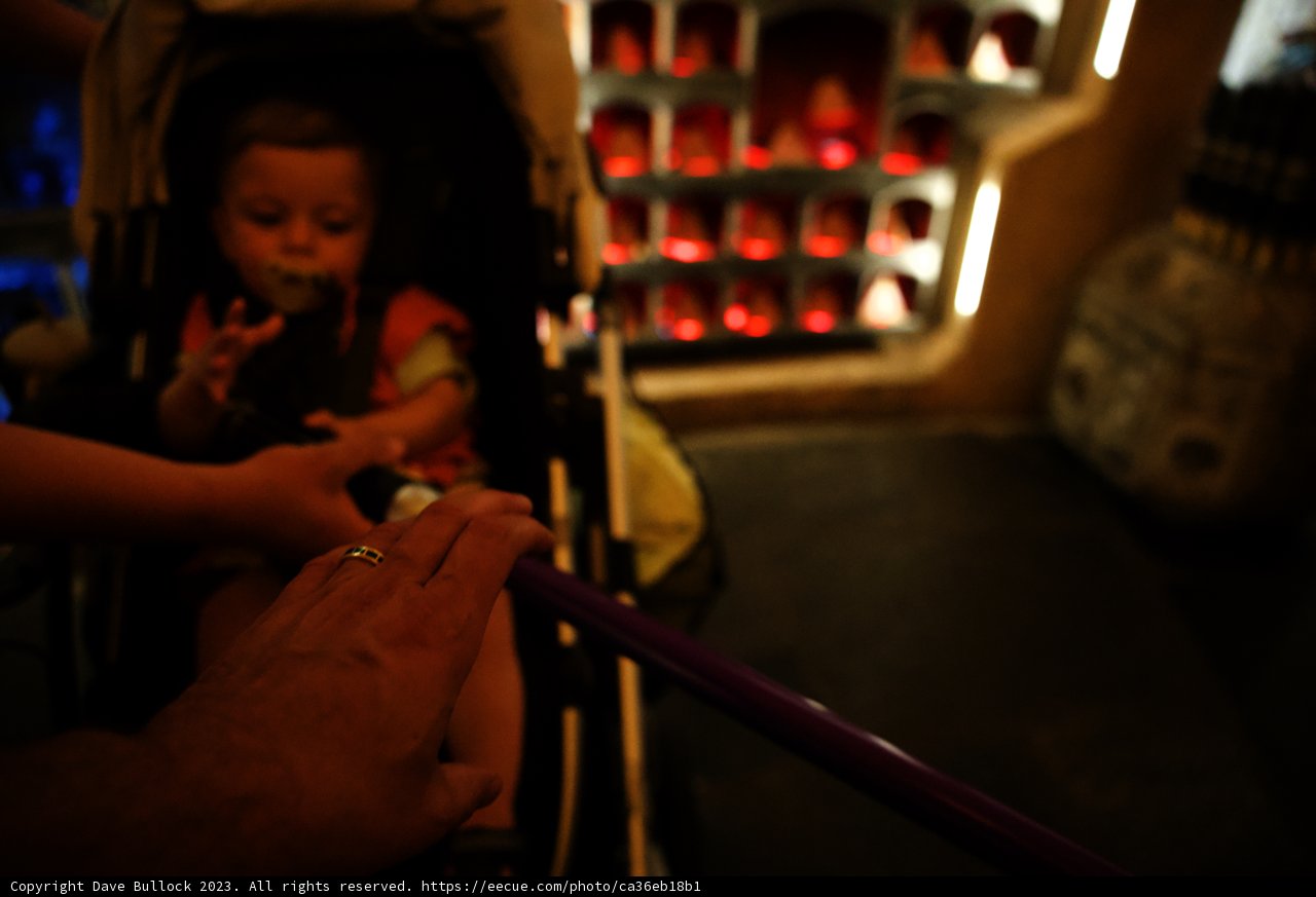 Magical Moments with Baby Wesley