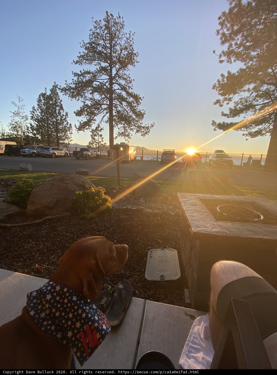 Sunset Pup on the Bench