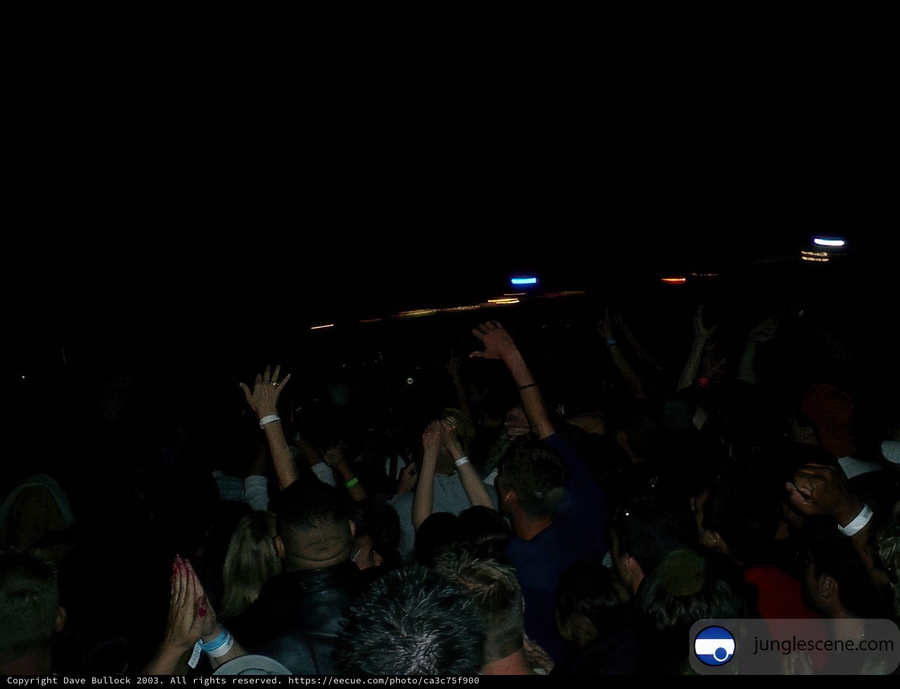 Nightclub Concert Crowd