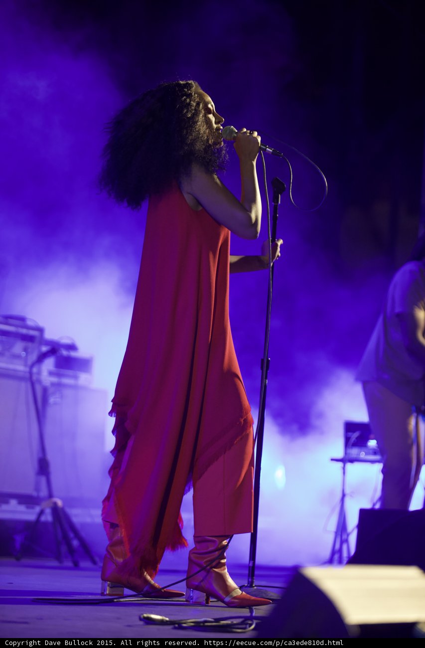 Solange Profile Mic Stand Band Member Visible Purple