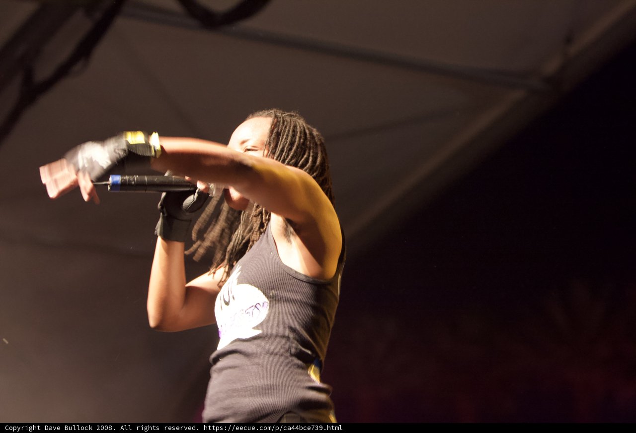 Dreadlocked Singer Stuns Coachella Crowd