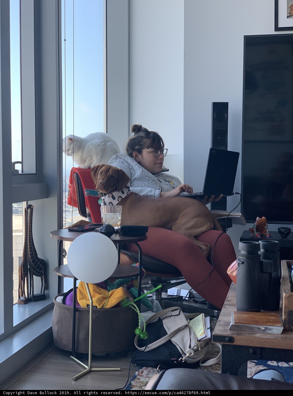 Comfortable Work Space