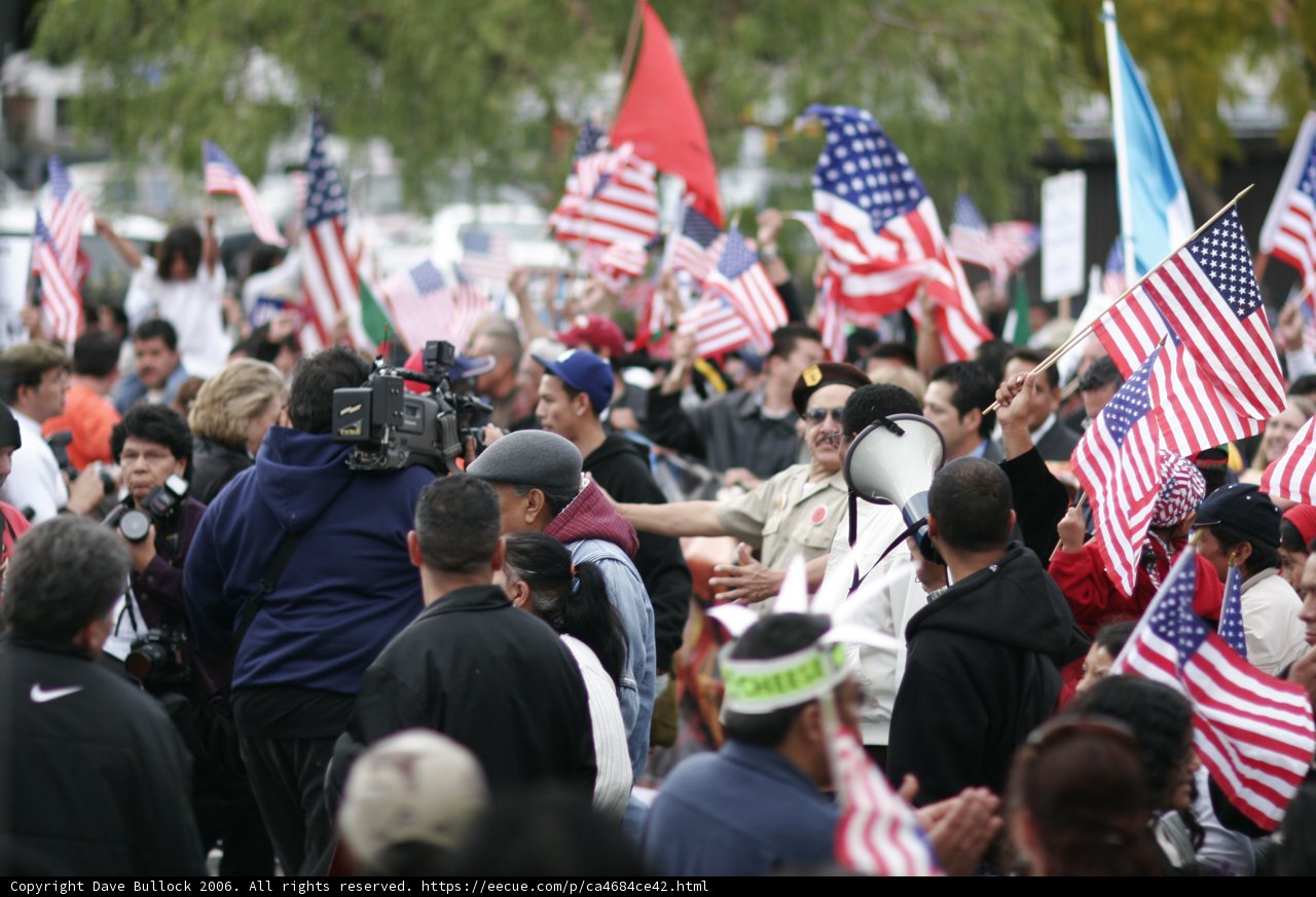Patriotic Crowd Snapshots