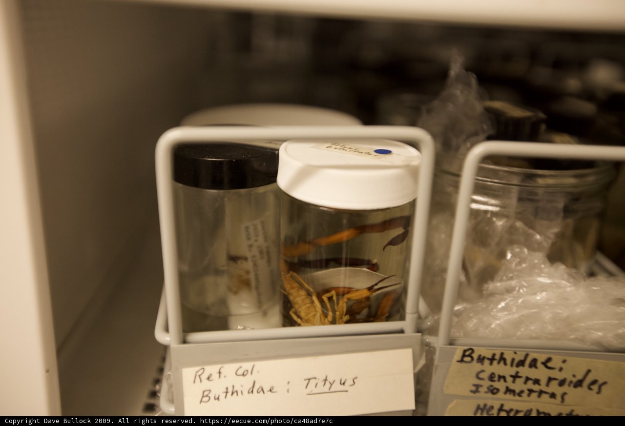 Organized Chaos in a Cabinet