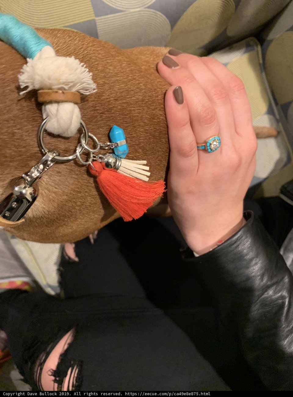 Ring on the Nose